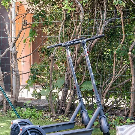アパート La Terrasse Tropezienne - Trottinettes A Disposition *