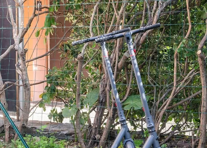 Terrasse Tropezienne # Luxe - Proche Mer - Jardin *